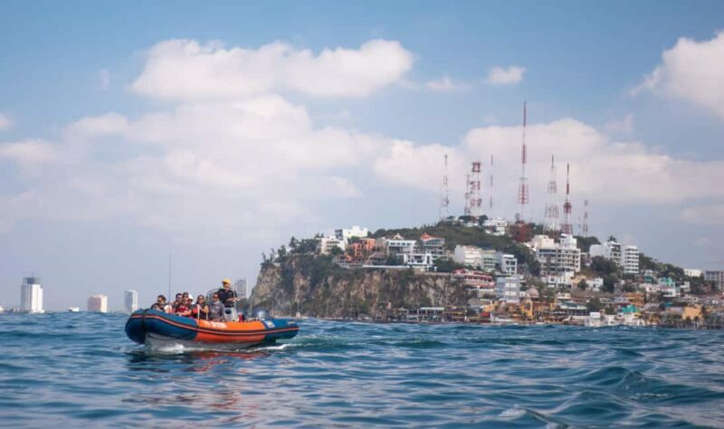 Mazatlán: Whale-Watching Boat Tour with Marine Experts - Final Thoughts