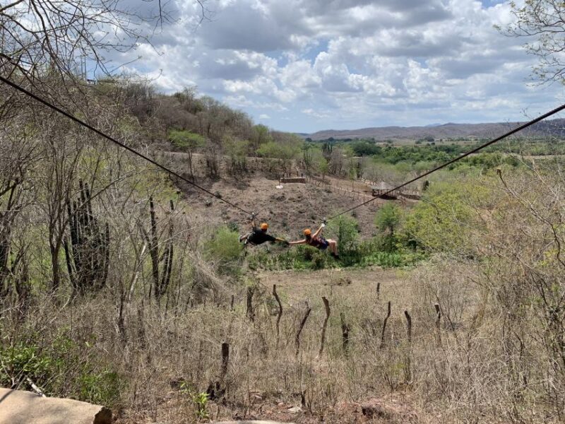 Mazatlán: Zipline Adventure, Sightseeing & Mezcal Tasting - Exploring the Mezcal Factory