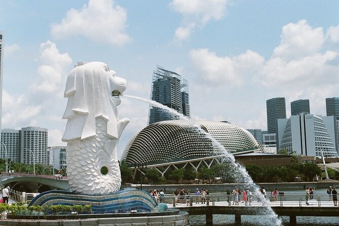 MBCC & HFCC - Cruise Terminal to City Hotel Transfer - Included Vehicle Amenities