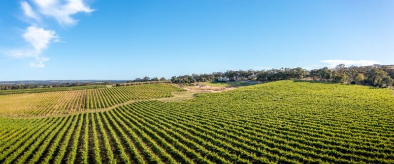 McLaren Vale: Biodynamic Wine Tasting and Degustation Lunch - Key Points