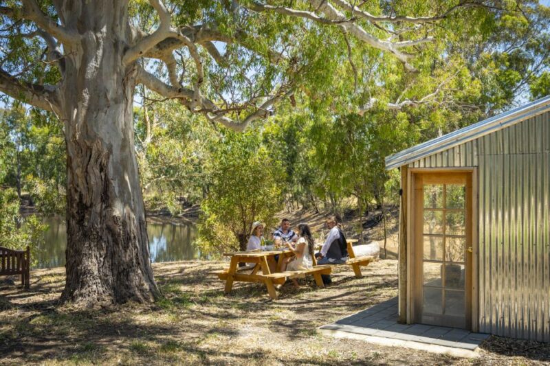 McLaren Vale: Biodynamic Wine Tasting and Degustation Lunch - Biodynamic Grape Growing and Winemaking