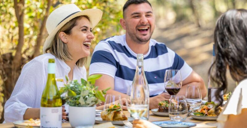 McLaren Vale: Biodynamic Wine Tasting and Degustation Lunch - Guided Wine Tasting With Views