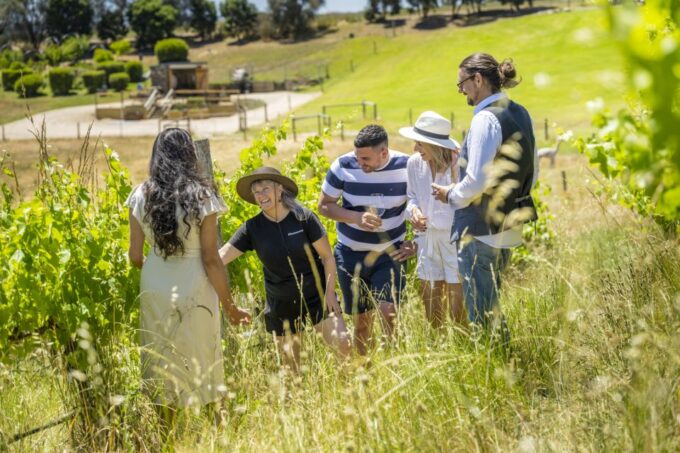 McLaren Vale: Biodynamic Wine Tasting and Degustation Lunch - Gourmet Lunch Prepared by The Salopian Inn