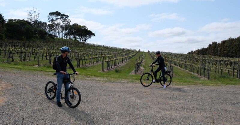 McLaren Vale: E-Bike Rental to Explore the Vineyards - Key Points