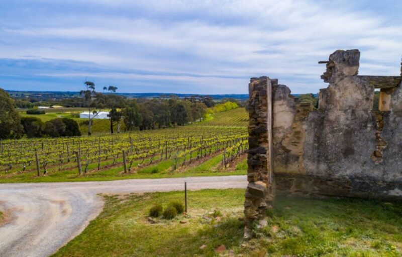 McLaren Vale: E-Bike Rental to Explore the Vineyards - Scenic Trails and Picturesque Landscapes