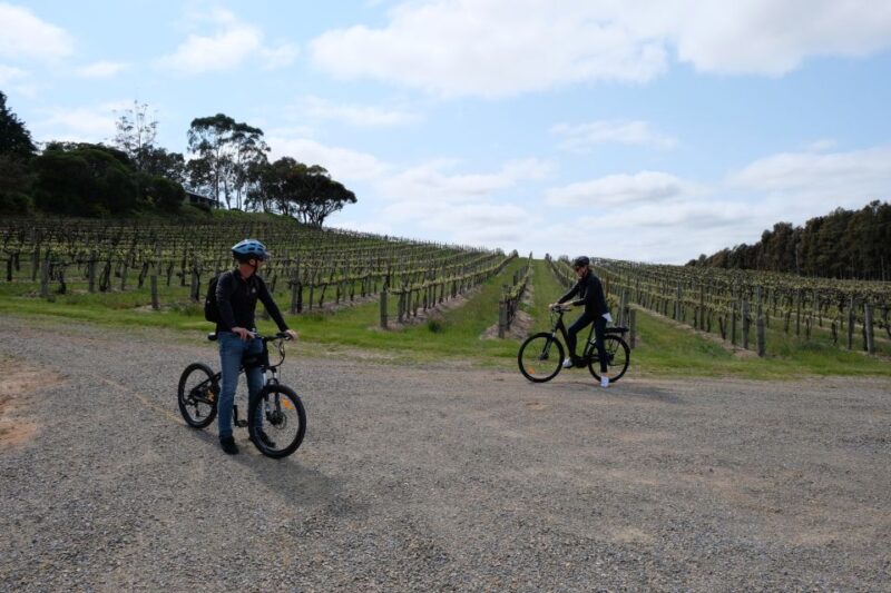 McLaren Vale: E-Bike Rental to Explore the Vineyards - Boutique Wineries and Culinary Delights