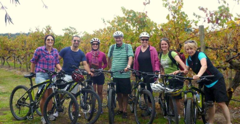 Mclaren Vale Hills Vines and Wines Bike Tour From Adelaide - Biking Through Kuitpo Forest