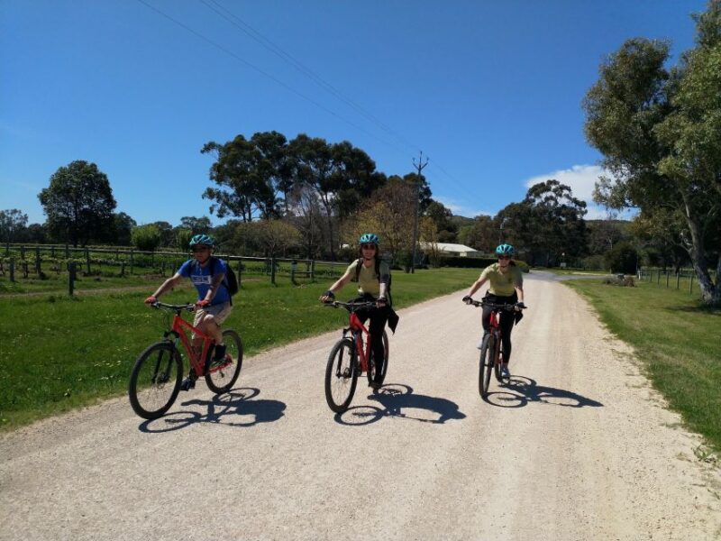 Mclaren Vale Hills Vines and Wines Bike Tour From Adelaide - Local Produce Platter Lunch