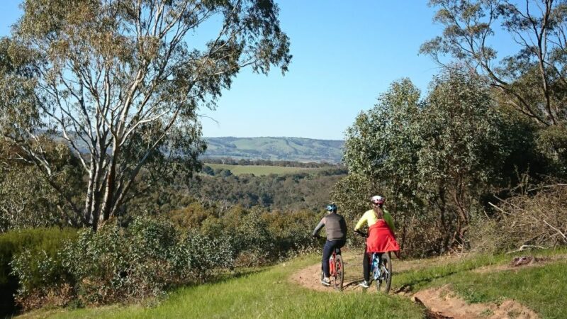 Mclaren Vale Hills Vines and Wines Bike Tour From Adelaide - Transportation and Meeting Point