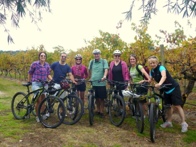 Mclaren Vale Hills Vines and Wines Bike Tour From Adelaide - Bike and Safety Equipment