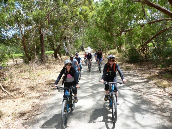Mclaren Vale Hills Vines and Wines Bike Tour From Adelaide - Booking and Cancellation Policy