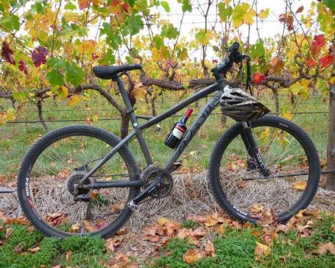 Mclaren Vale Hills Vines and Wines Bike Tour From Adelaide - Customization and Additional Options