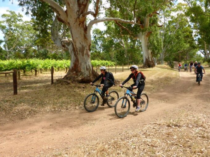 Mclaren Vale Hills Vines and Wines Bike Tour From Adelaide - Frequently Asked Questions