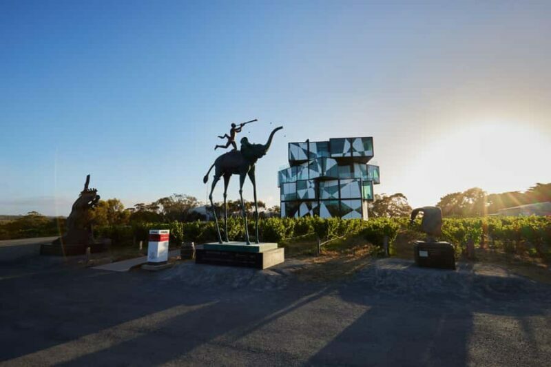 McLaren Vale North: Hop-On Hop-Off Tour - An In-Depth Look at the McLaren Vale North Hop-On Hop-Off Tour