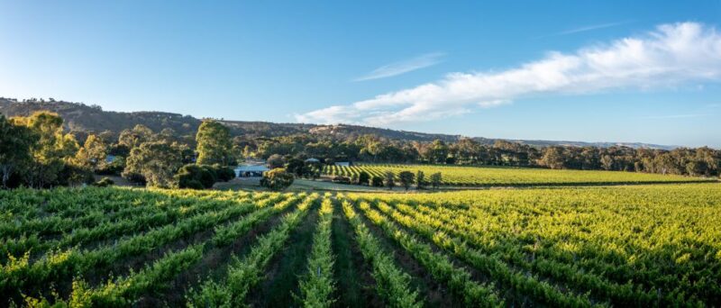 McLaren Vale: Private Gemtree Wines Biodynamic Winery Tour - Customer Feedback