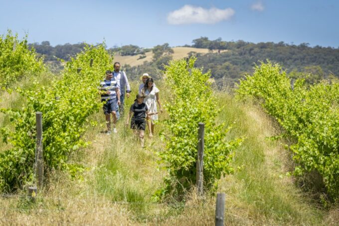 McLaren Vale: Private Gemtree Wines Biodynamic Winery Tour - Exclusive Group Experience