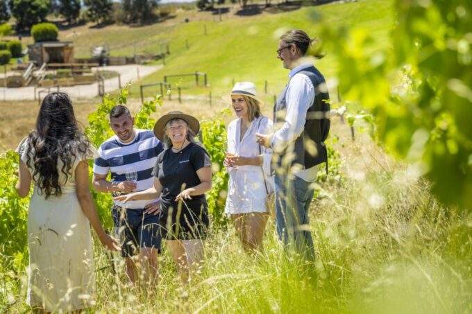 McLaren Vale: Private Gemtree Wines Biodynamic Winery Tour - Recap