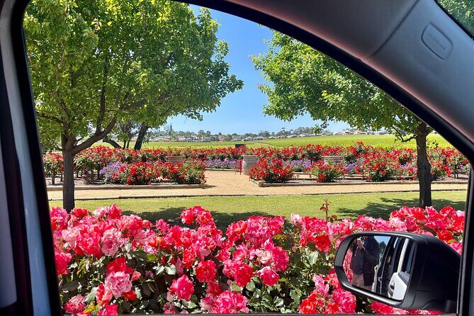 McLaren Vale Private Tour inc Premium Lunch & d'Arenberg Cube - The Value of the Experience