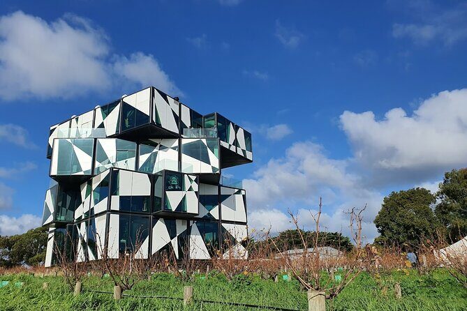 McLaren Vale Private Wine Tour - A Detailed Look at the McLaren Vale Private Wine Tour