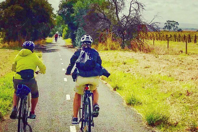 McLaren Vale Shiraz Trail Cycling Tour from Adelaide - An Introduction to the McLaren Vale Shiraz Trail Cycling Tour