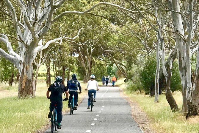 McLaren Vale Shiraz Trail Cycling Tour from Adelaide - Who Should Consider This Tour?
