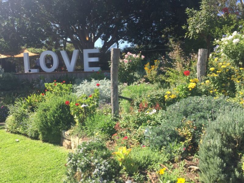 McLaren Vale: Small Group Wine Tour (Includes Lunch) - Wineries and Tastings