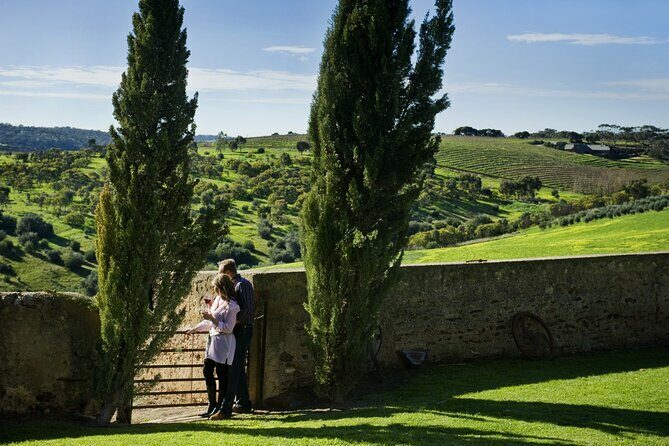 McLaren Vale Wine-Lover - Luxury Full Day Private Tour - Authentic Experiences and Traveler Feedback