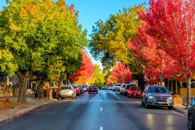 Mclaren Vale Wine Region via Hahndorf Full-Day Tour From Adelaide - Exploring Hardys Tintara