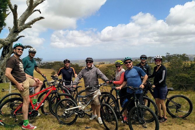 McLaren Vale Wine Tour by Bike - Visiting Local Wineries