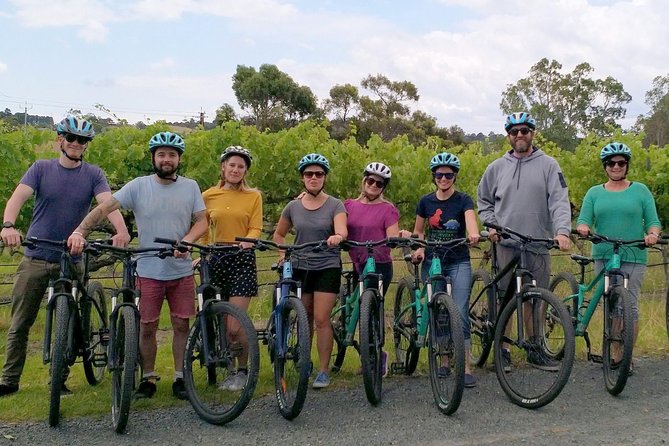 McLaren Vale Wine Tour by Bike - Tasting the Regions Wines