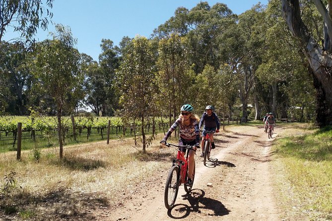 McLaren Vale Wine Tour by Bike - Meeting and Pickup Arrangements