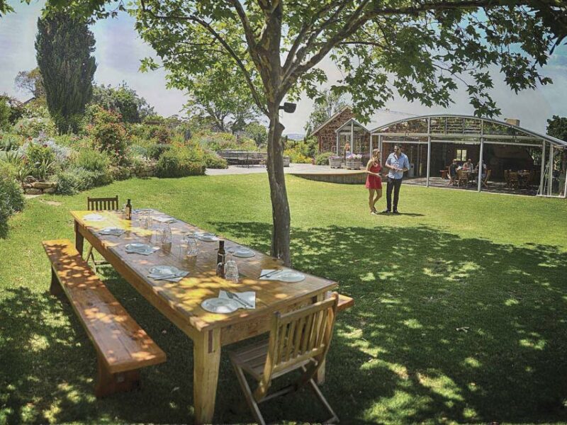McLaren Vale Winery Experience - Small Group Tour - Key Points