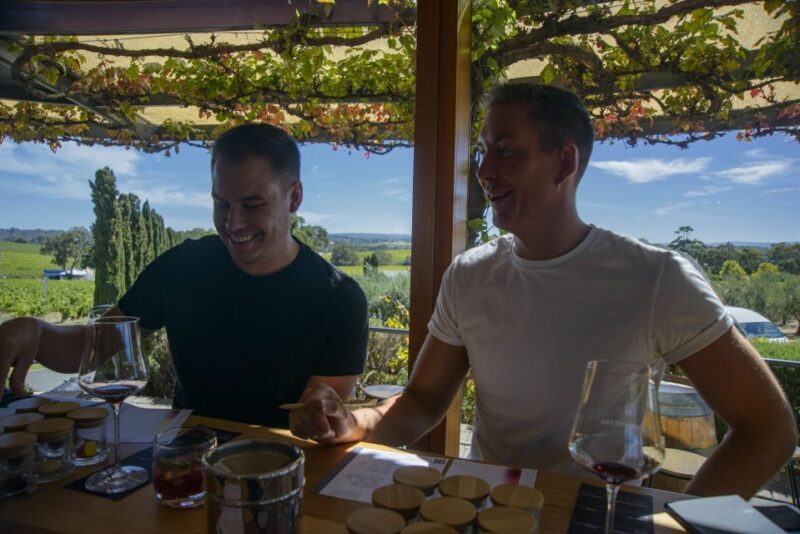 McLaren Vale Winery Experience - Small Group Tour - Wine Tasting at Cellar Doors