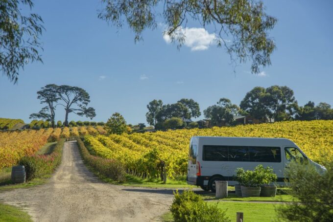 McLaren Vale Winery Experience - Small Group Tour - Regional Platter Lunch
