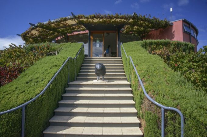 McLaren Vale Winery Experience - Small Group Tour - Inclusions in the Tour