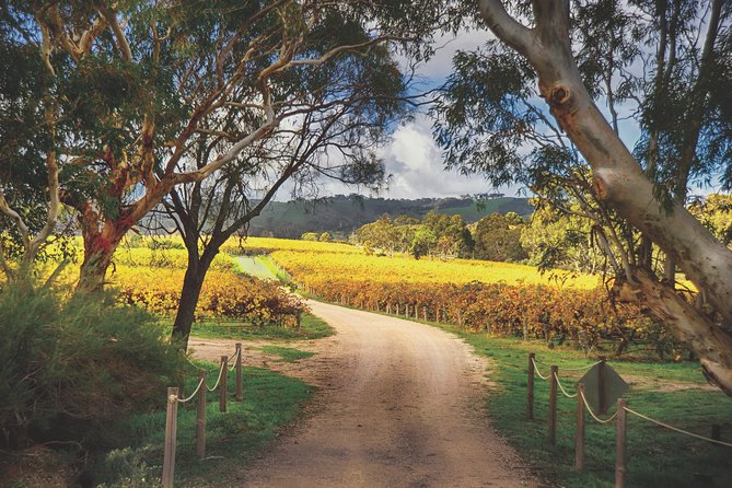 Mclaren Vale Winery Small Group Tour With Wine Tasting and Lunch - Winery Visits