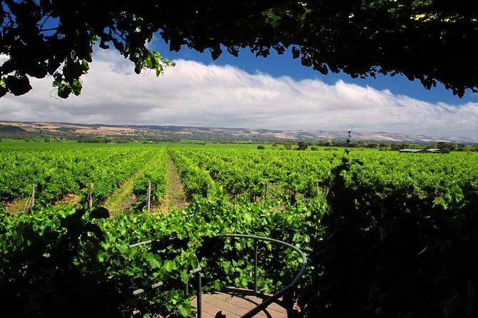 Mclaren Vale Winery Small Group Tour With Wine Tasting and Lunch - Transportation Details