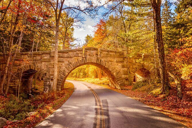 MDI Private Discovery Tour - Explore Beyond Acadia (five hours) - Key Points
