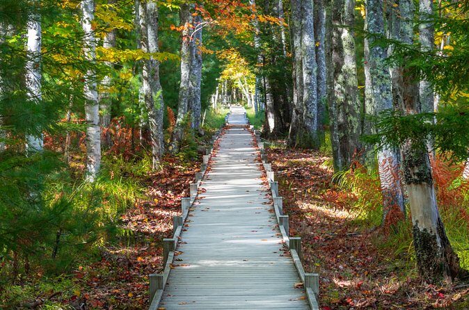 MDI Private Discovery Tour - Explore Beyond Acadia (five hours) - Authentic Insights from Reviews