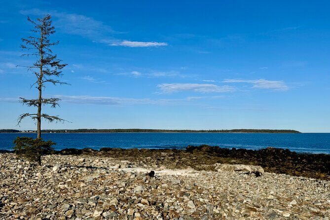 MDI Private Discovery Tour - Explore Beyond Acadia (five hours) - Who Should Consider This Tour?