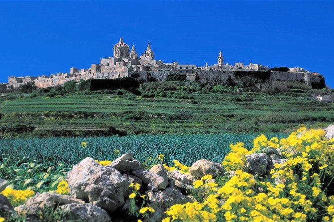 Mdina, Dingli Cliffs and San Anton Gardens Guided Tour - About Your Stay