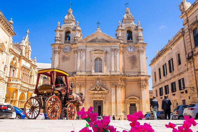 Mdina, Dingli Cliffs and San Anton Gardens Half-Day Guided Tour - Review Breakdown