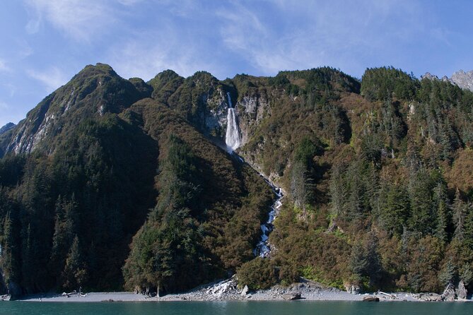 Meares Glacier Cruise Excursion From Valdez - Accessibility and Accommodations