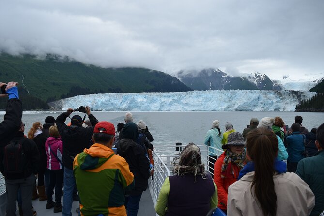 Meares Glacier Cruise Excursion From Valdez - Cruise Highlights