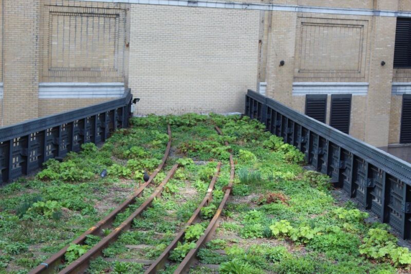 Meatpacking District: Chelsea Market and The Highline Tour - Weather and Safety Information