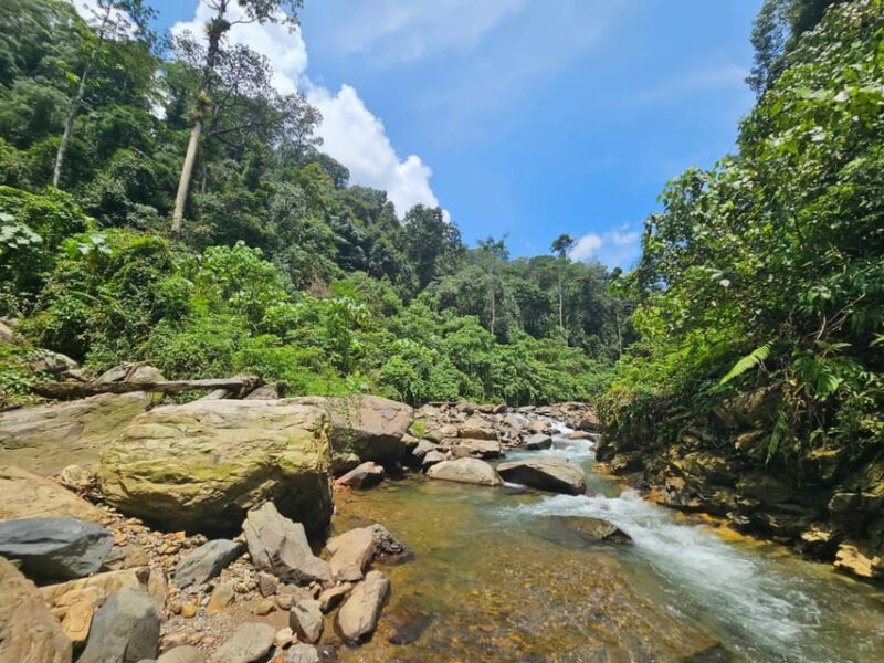 Medan: 7-Day Bukit Lawang Orangutan Exploration Package - Customization Options