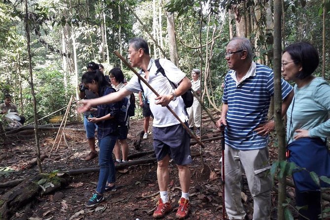 Medan - Bukit Lawang Fullday Tour - Bukit Lawang Trekking