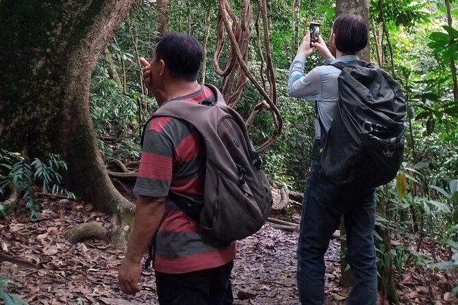 Medan - Bukit Lawang Fullday Tour - Tour Features