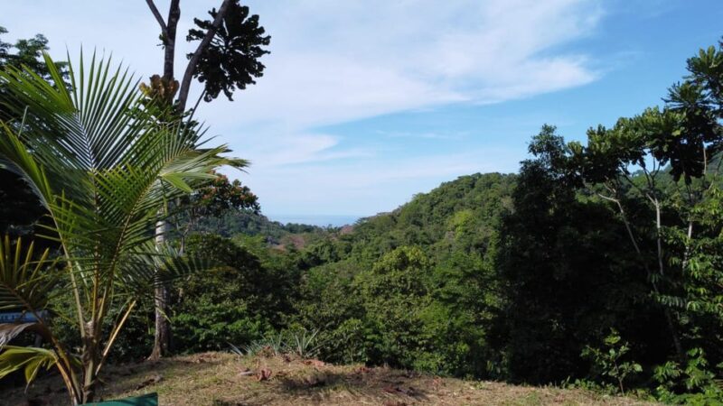 Medellin 3 Nights in Capurganá Chocó With Tours Included at the Border With Panama. - Transportation and Meals