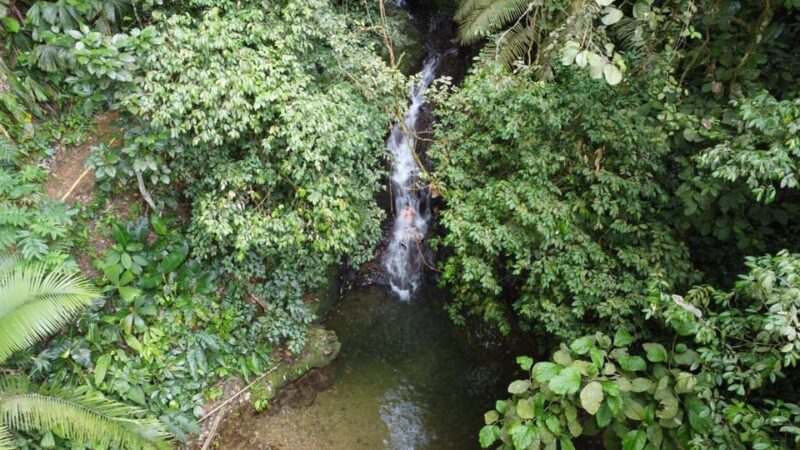 Medellin 3 Nights in Capurganá Chocó With Tours Included at the Border With Panama. - Transportation Details